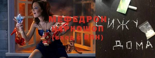 хмурый Аркадак