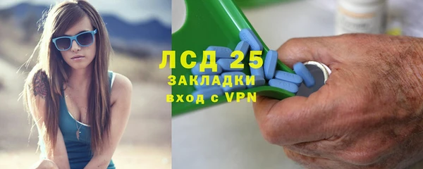 хмурый Аркадак