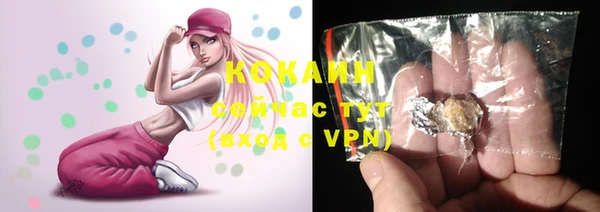 хмурый Аркадак
