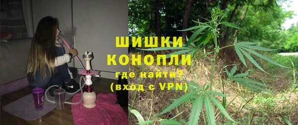 хмурый Аркадак