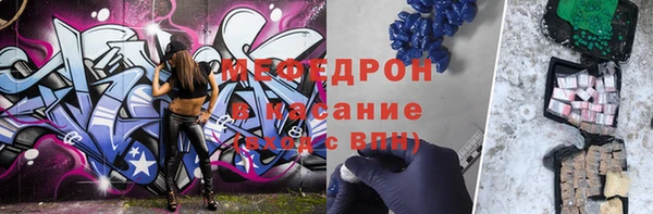 хмурый Аркадак