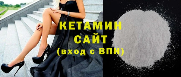 хмурый Аркадак