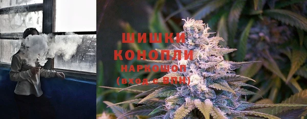 хмурый Аркадак